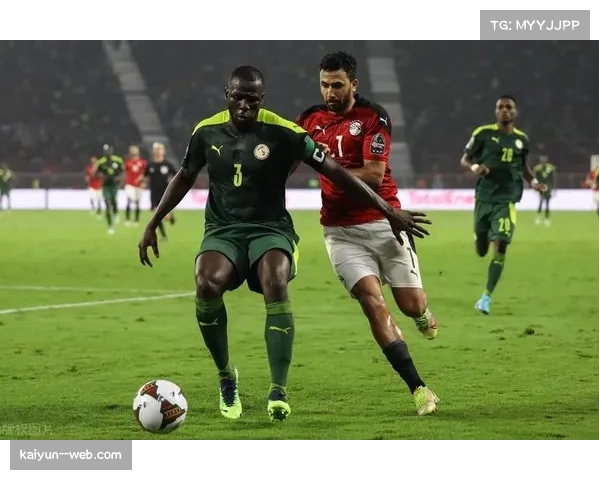 塞内加尔整体性强 非洲冠军战术成熟度提升